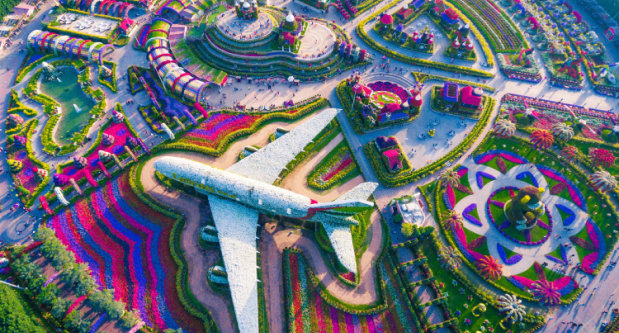 Miracle Garden Cover image